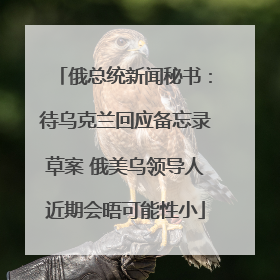 俄总统新闻秘书：待乌克兰回应备忘录草案 俄美乌领导人近期会晤可能性小