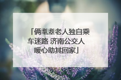 俩耄耋老人独自乘车迷路 济南公交人暖心助其回家