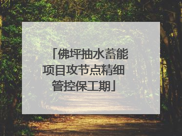 佛坪抽水蓄能项目攻节点精细管控保工期
