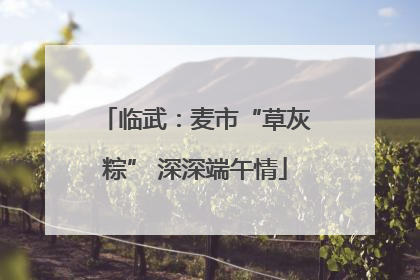 临武：麦市“草灰粽” 深深端午情