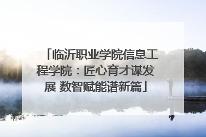临沂职业学院信息工程学院：匠心育才谋发展 数智赋能谱新篇