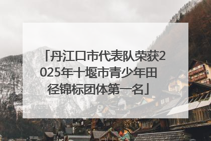 丹江口市代表队荣获2025年十堰市青少年田径锦标团体第一名