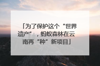 为了保护这个“世界遗产”，蚂蚁森林在云南再“种”新项目