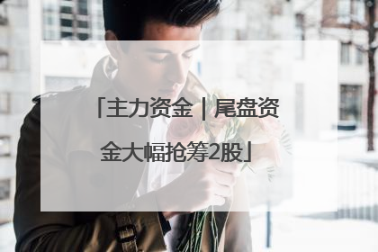 主力资金｜尾盘资金大幅抢筹2股
