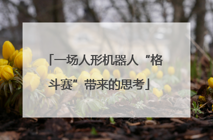 一场人形机器人“格斗赛”带来的思考