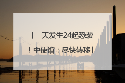 一天发生24起恐袭！中使馆：尽快转移