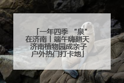 一年四季 “泉”在济南丨端午嗨翻天 济南植物园成亲子户外热门打卡地