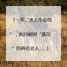 一条“水上生命线”，救回被困“孤岛”的两名老人……