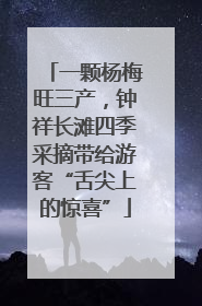 一颗杨梅旺三产，钟祥长滩四季采摘带给游客“舌尖上的惊喜”