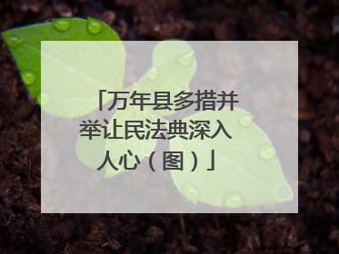 万年县多措并举让民法典深入人心（图）