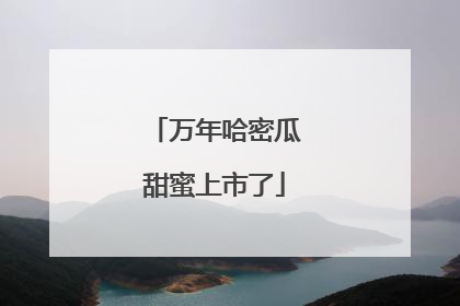 万年哈密瓜甜蜜上市了
