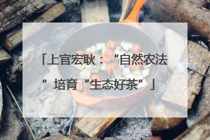 上官宏耿：“自然农法”培育“生态好茶”