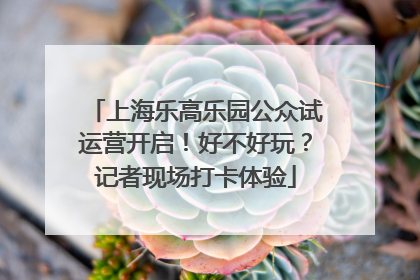 上海乐高乐园公众试运营开启！好不好玩？记者现场打卡体验