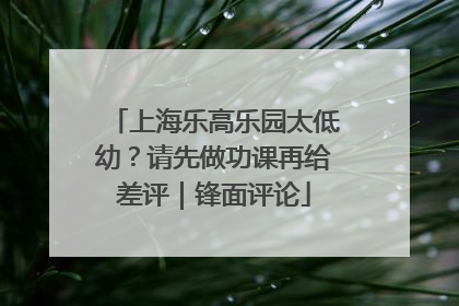 上海乐高乐园太低幼？请先做功课再给差评｜锋面评论