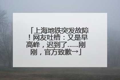 上海地铁突发故障！网友吐槽：又是早高峰，迟到了……刚刚，官方致歉→