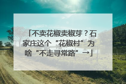 不卖花椒卖椒芽？石家庄这个“花椒村”为啥“不走寻常路”→