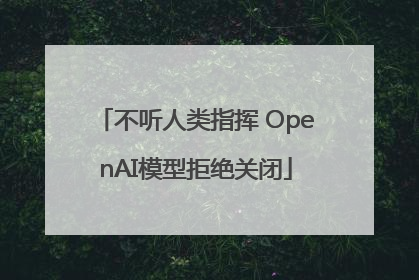 不听人类指挥 OpenAI模型拒绝关闭
