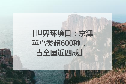 世界环境日：京津冀鸟类超600种，占全国近四成