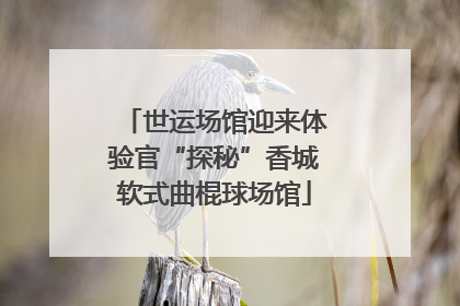 世运场馆迎来体验官“探秘”香城软式曲棍球场馆