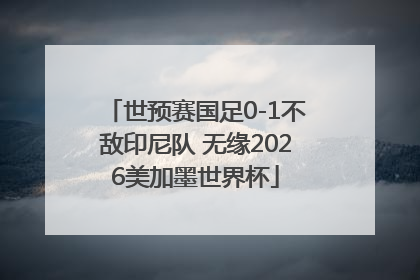 世预赛国足0-1不敌印尼队 无缘2026美加墨世界杯