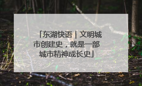 东湖快语｜文明城市创建史，就是一部城市精神成长史