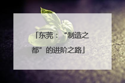 东莞：“制造之都”的进阶之路