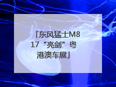 东风猛士M817“亮剑”粤港澳车展