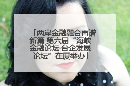 两岸金融融合再谱新篇 第六届“海峡金融论坛·台企发展论坛”在厦举办