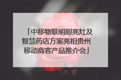 中移物联明厨亮灶及智慧药店方案亮相贵州移动商客产品推介会
