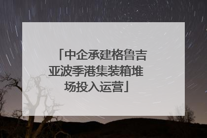 中企承建格鲁吉亚波季港集装箱堆场投入运营