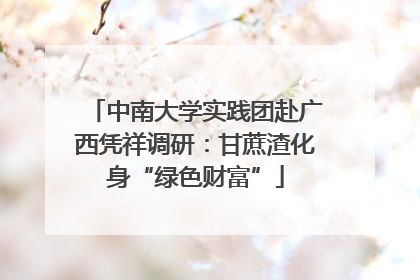 中南大学实践团赴广西凭祥调研：甘蔗渣化身“绿色财富”