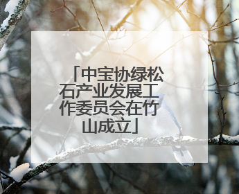 中宝协绿松石产业发展工作委员会在竹山成立