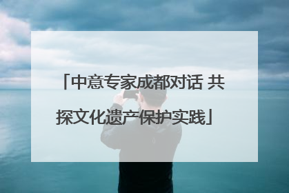 中意专家成都对话 共探文化遗产保护实践