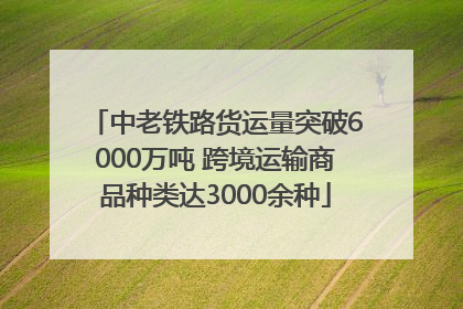 中老铁路货运量突破6000万吨 跨境运输商品种类达3000余种