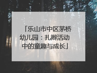 乐山市中区茅桥幼儿园：扎辫活动中的童趣与成长