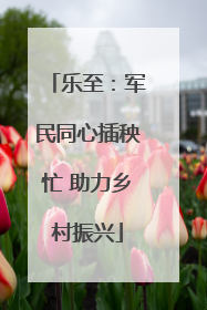 乐至：军民同心插秧忙 助力乡村振兴