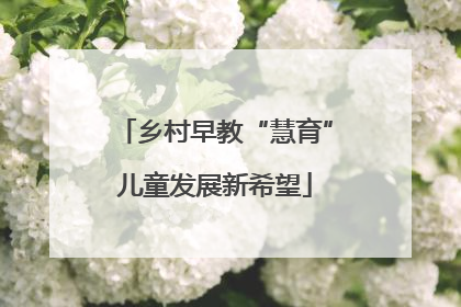 乡村早教“慧育”儿童发展新希望