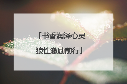 书香润泽心灵 狼性激励前行