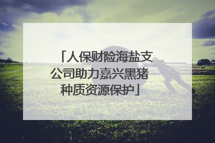 人保财险海盐支公司助力嘉兴黑猪种质资源保护