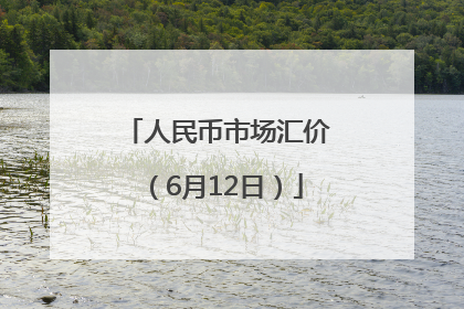 人民币市场汇价（6月12日）