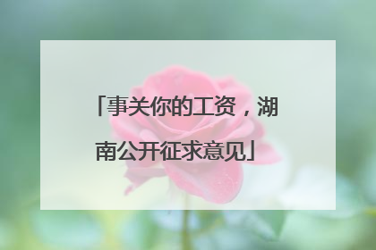 事关你的工资，湖南公开征求意见
