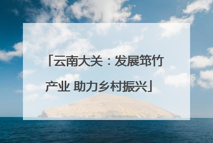 云南大关：发展筇竹产业 助力乡村振兴