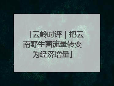 云岭时评｜把云南野生菌流量转变为经济增量