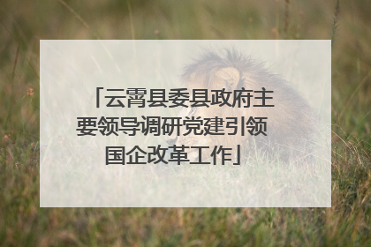 云霄县委县政府主要领导调研党建引领国企改革工作