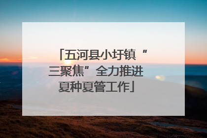 五河县小圩镇“三聚焦”全力推进夏种夏管工作