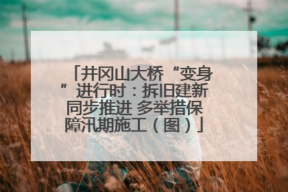 井冈山大桥“变身”进行时：拆旧建新同步推进 多举措保障汛期施工（图）