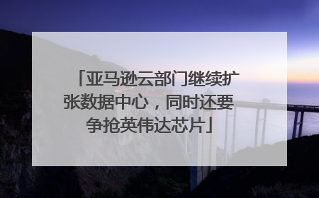 亚马逊云部门继续扩张数据中心，同时还要争抢英伟达芯片