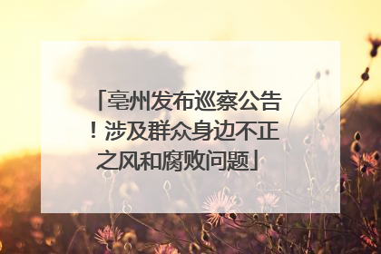 亳州发布巡察公告！涉及群众身边不正之风和腐败问题