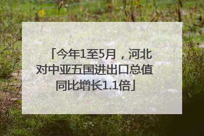 今年1至5月，河北对中亚五国进出口总值同比增长1.1倍