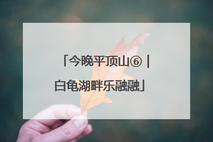 今晚平顶山⑥｜白龟湖畔乐融融
